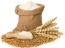 عرضه انواع آرد گندم دامی
