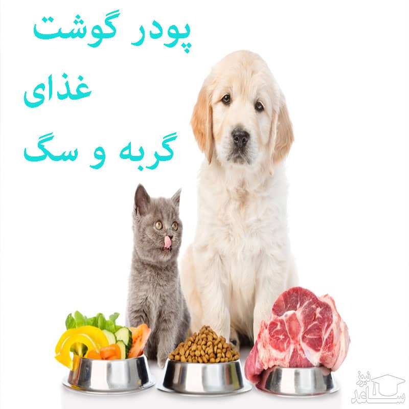 پودر گوشت برای سگ