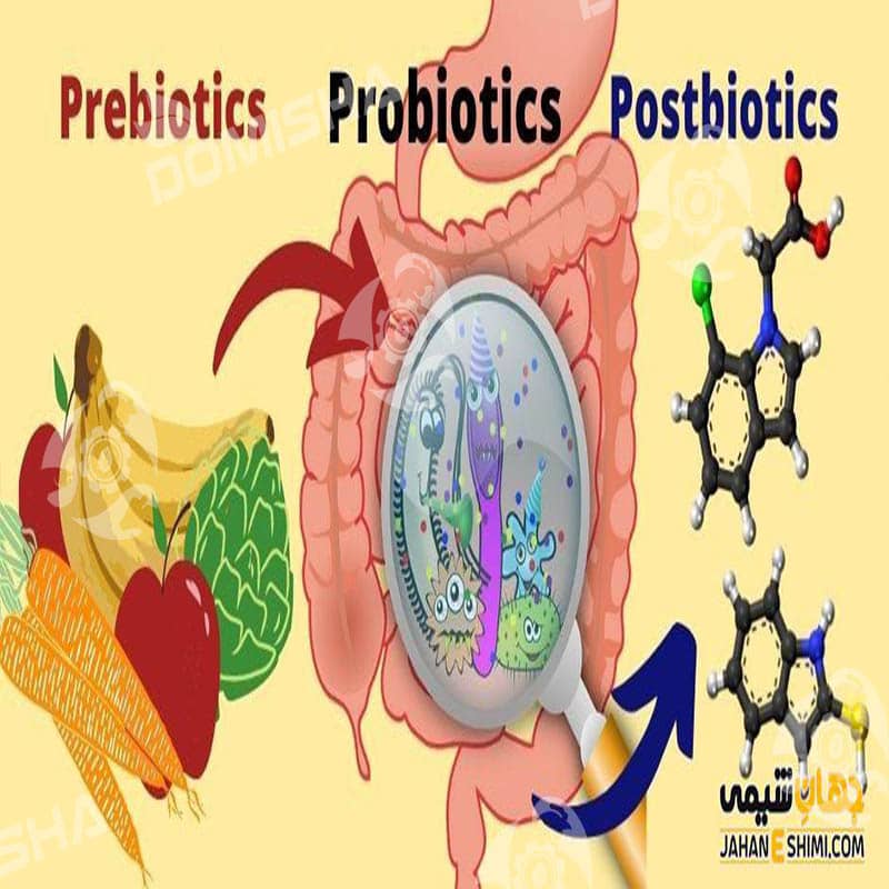 تفاوت پروبیوتیک و پری بیوتیک